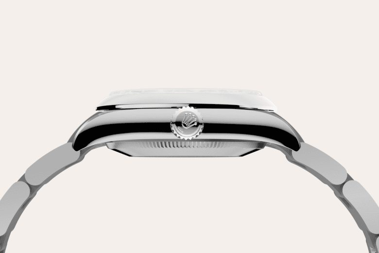 rolex Oyster Perpetual em Aço Oystersteel, m277200-0014 - Danglar